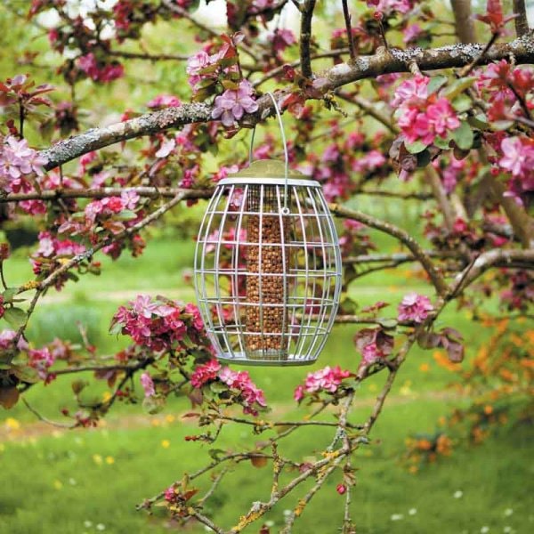 Chapelwood Ultra Squirrel Proof Peanut Feeder