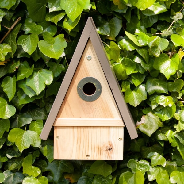 Wildlife World Elegance Bird Nest Box 