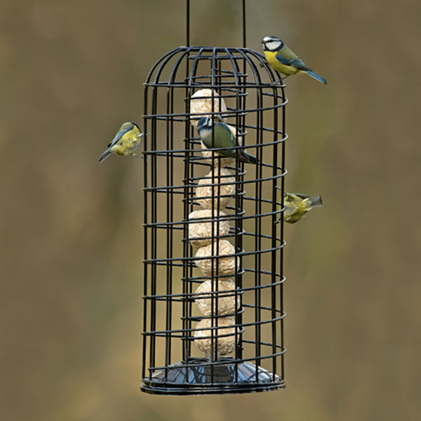 Red Barn Suet Ball Feeder With Guardian