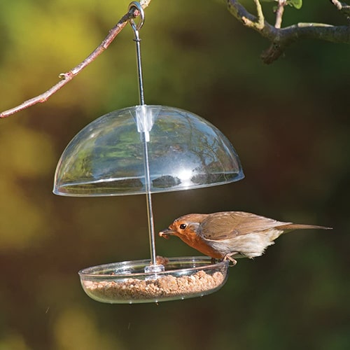 Jacobi Jayne I Love Robins Feeder