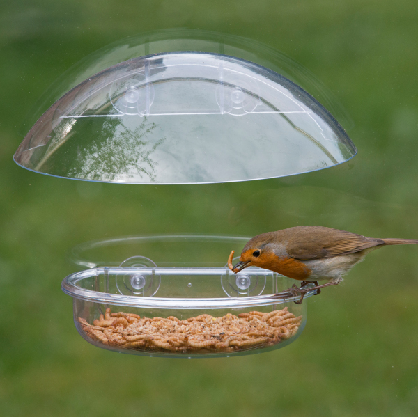 I Love Robins Window Feeder
